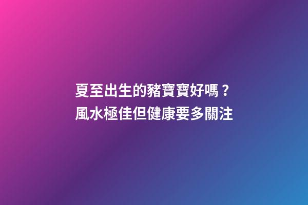 夏至出生的豬寶寶好嗎？風水極佳但健康要多關注